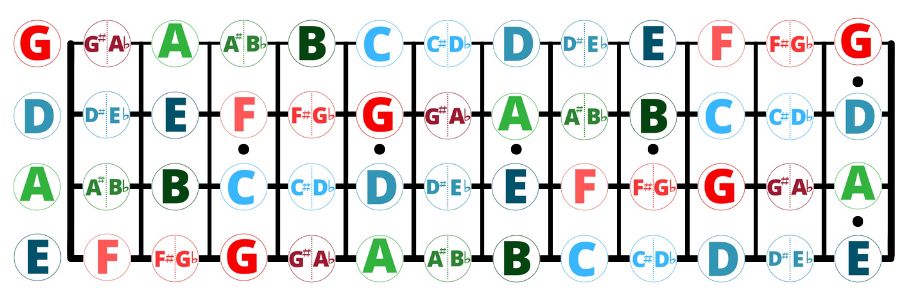 diapasón del bajo a todo color