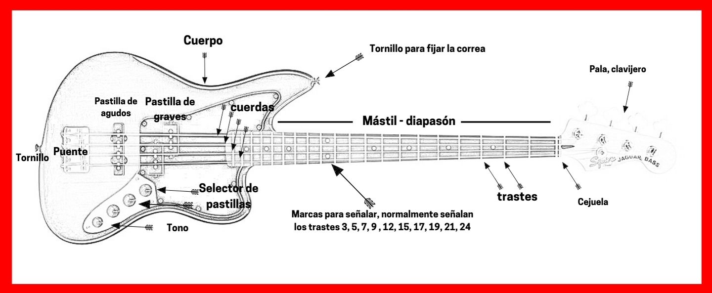 todas las partes de un bajo eléctrico