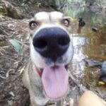 Profile photo of Francisca